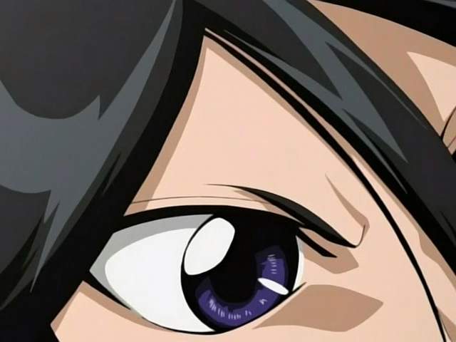 Otaku Gallery  / Anime e Manga / Bleach / Screen Shots / Episodi / 004 - Il pappagallo maledetto / 120.jpg